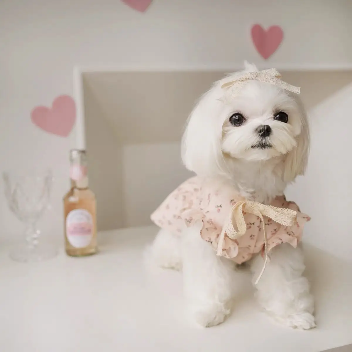 Falda de primavera con rosas para gatos y perros pequeños - imagen 5