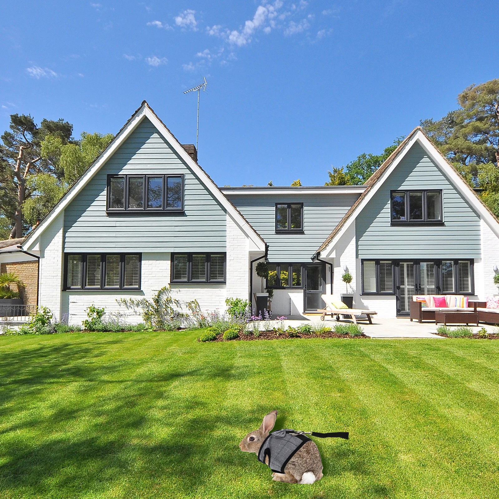 

1Set Rabbit Vest Harness Leash Gentlemen Style Costume Outdoor Exercise Protective Rabbit Harness Leash