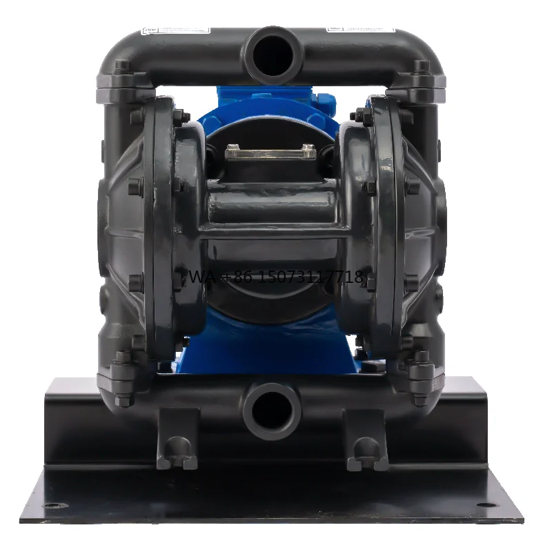 BFDS-25G 1-дюймовый электрический мембранный насос Производитель Стенточные водные ежедневные мембранные насосы