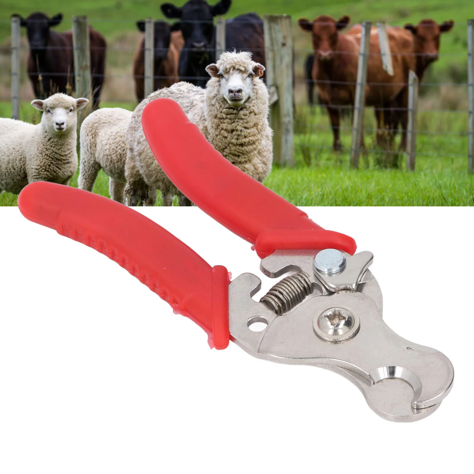 Livestock Ear  Pliers Livestock Ear  Remover Stainless Steel Pliers Animal Ear  Removing Tool for Cattle Sheep Goat Pig