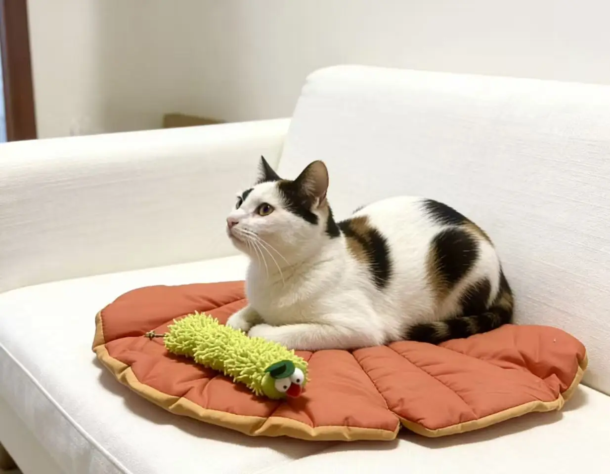 ورقة مريحة ذات الاستخدام المزدوج حصيرة سرير القط أريكة حامي مع النعناع البري كاتربيلر مجموعة ألعاب القط اللعب الذاتي #1