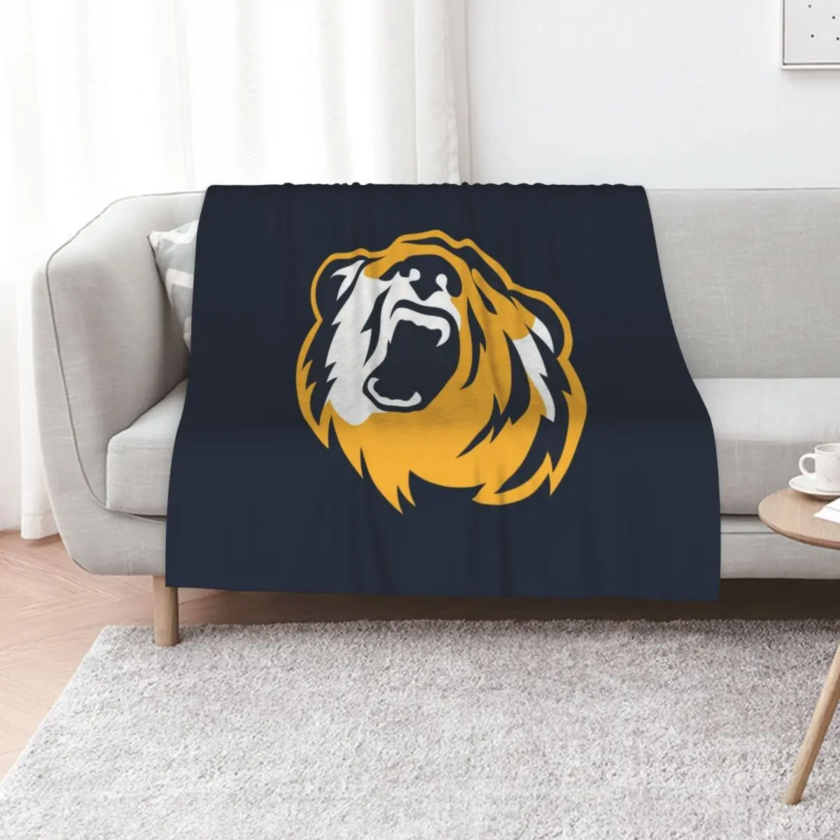 

NYIT Bears Throw Blanket Soft Plush Plaid Giant Sofa Furrys Hair Blankets