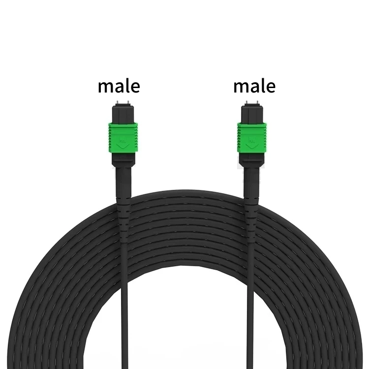 MPO APC سترة من الألياف المدرعة 12 النوى أحادية الوضع ذكر ذكر ذكر نوع B A 5m 10m 30m 50m MTP الألياف الضوئية patchcord خارجي SM 12C