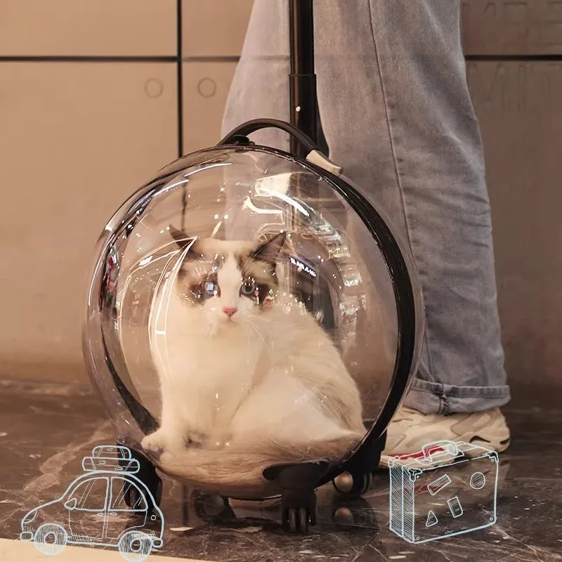 Cat bag out portable pet trolley case portable transparent space capsule cat travel trolley dog suitcase