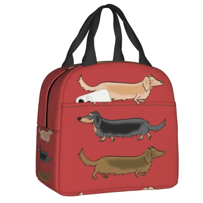 

Kawaii Dachshund Dogs Insulated Lunch Tote Bag for Women Wiener Sausage Dog Portable Cooler Thermal Bento Box Work School Travel