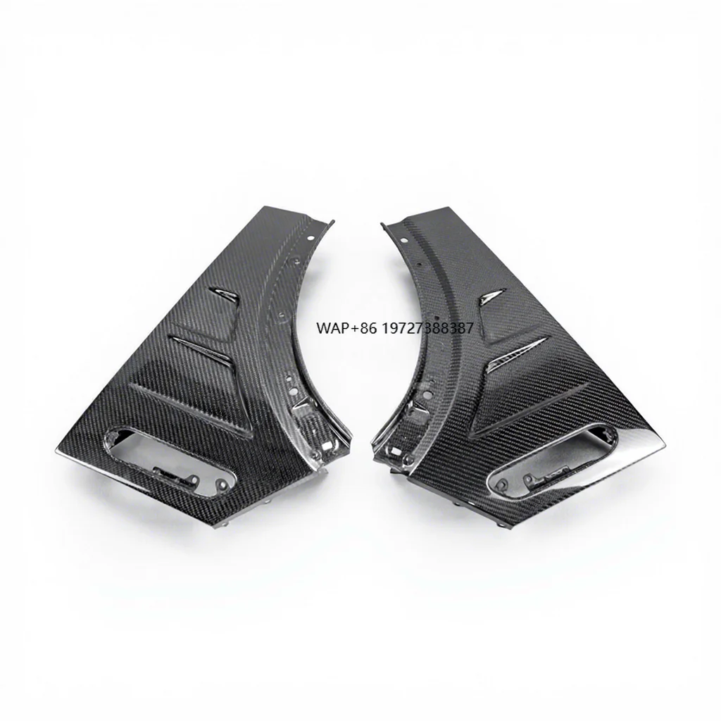 

Carbon Fiber FENDER for Mini R53