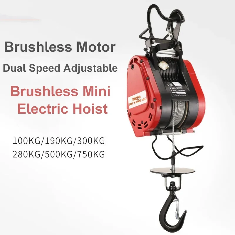 رافعة رافعة كهربائية 220 فولت مع منصة رفع بدون فرش ذات تردد متغير ونش 500 كجم سعة مزدوجة السرعة 7/17 دقيقة #2