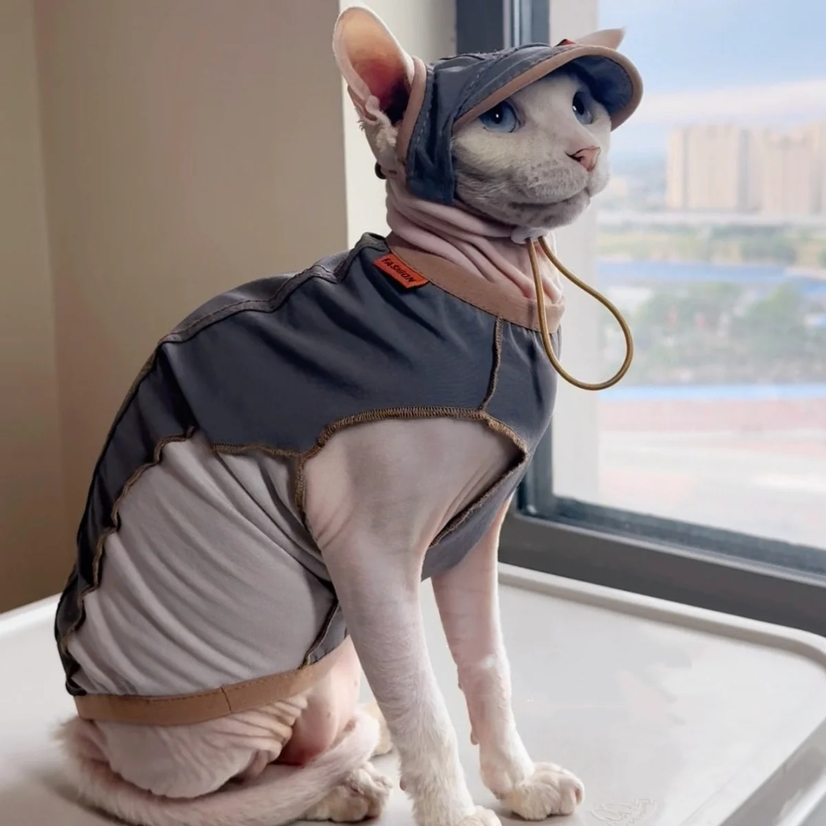 Comfortable Gray Cotton Vest with Patchwork for Hairless Cat in Summer Fashion Thin T-shirt Sun Protect Suit for Male Cats