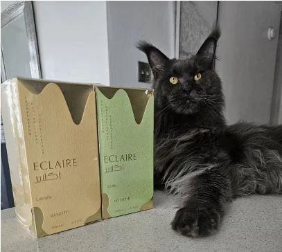 Unisex Eclaire Banoffi EDP Spray 3,4 oz