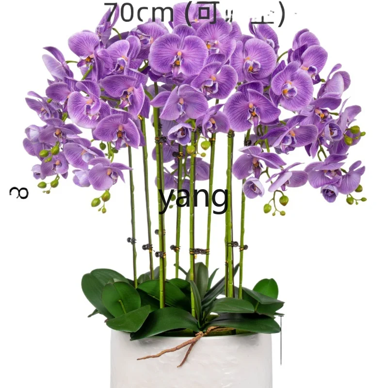 CX Large Basin High-Grade Moist Feeling Phalaenopsis Artificial Flower Plastic Dried Flower Fake Floriculture Ornaments