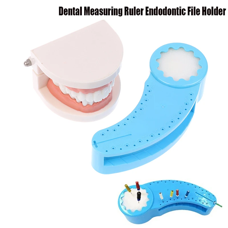 Dental Endo Block Stand Measuring Ruler Endodontic Files Drill Holder Root Canal Measuring Board Block Endodontic File Instrumen