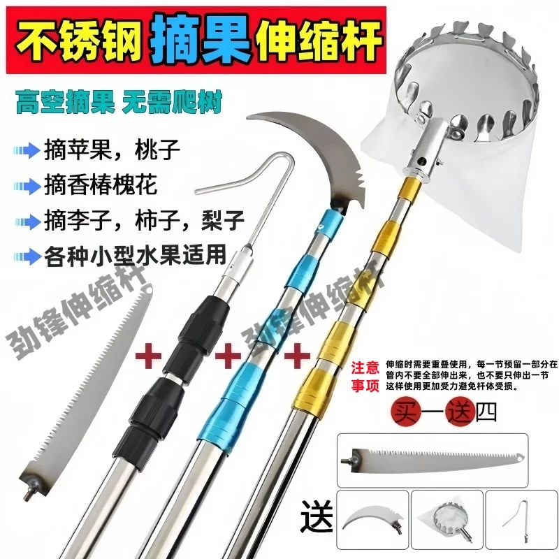 

High-altitude fruit artifact, persimmons, toon, four-season rod, picking peach apricots, plums