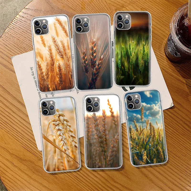 Mature Wheat Grains Phone Case For Iphone 14 13 15 16 Pro Max Plus Apple 11 12 Mini X XS Max XR Clear Cover Shell Coque Silicone