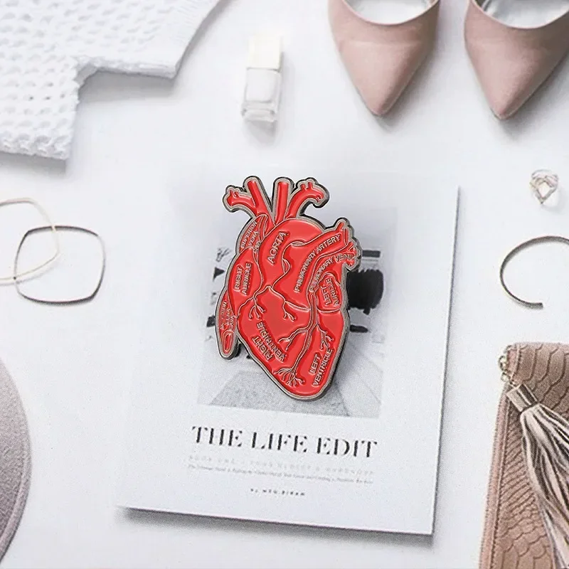 Creative Red Anatomical Heart Alloy Brooch for Clothes Doctor Nurse Clothing Bag Decorative Pin Badges Metal Pins for Backpacks