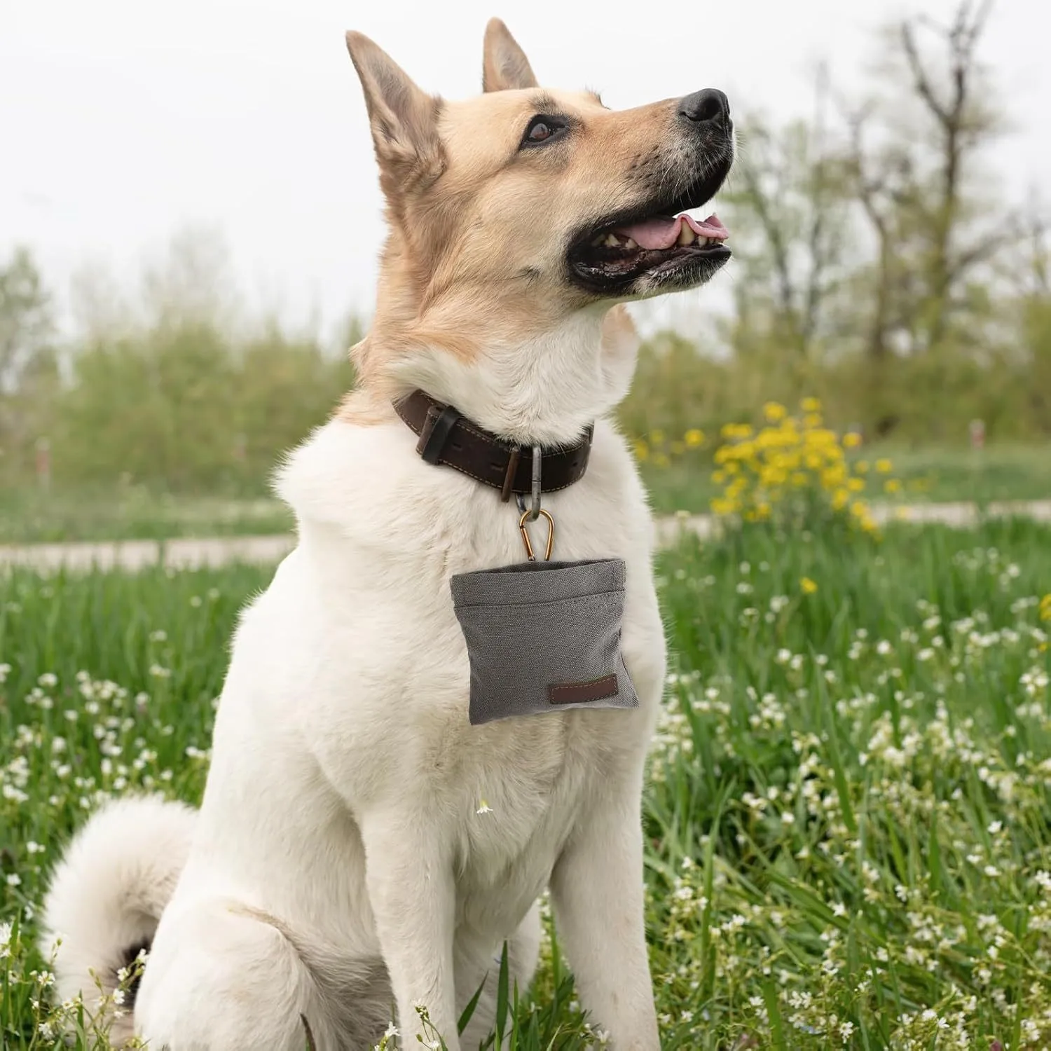 Dog feeding bag, canvas portable bag, key hook, pet training food and snack storage bag, dog walking bag