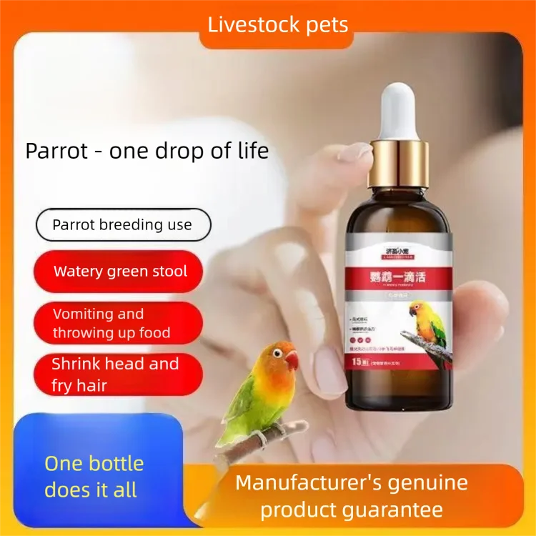 Parrots do not eat, diarrhea, water green, vomit, shrink their heads, explode their feathers, throw food, vomit