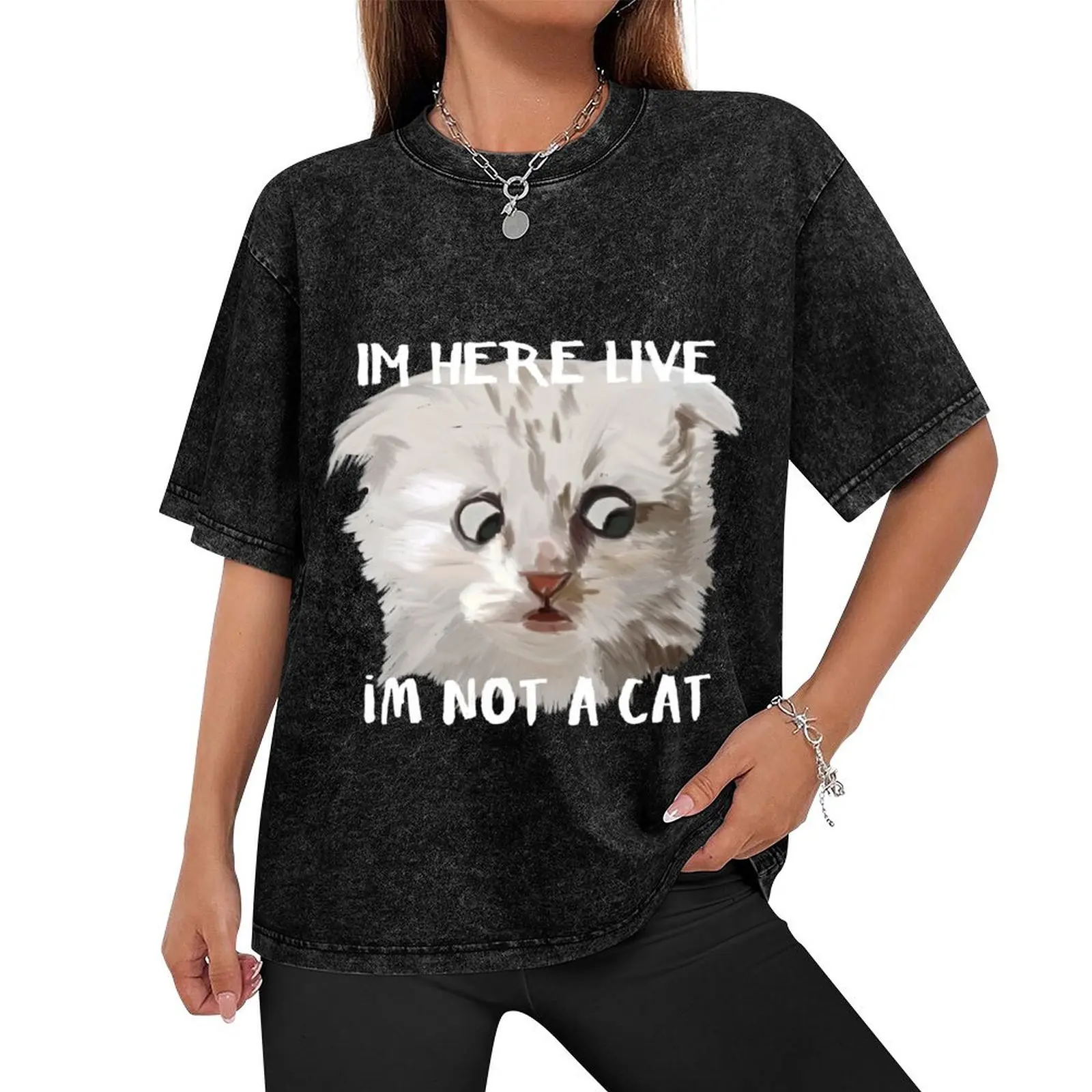 im here live im not a cat painting T-Shirt sublime Aesthetic clothing Men's t shirts