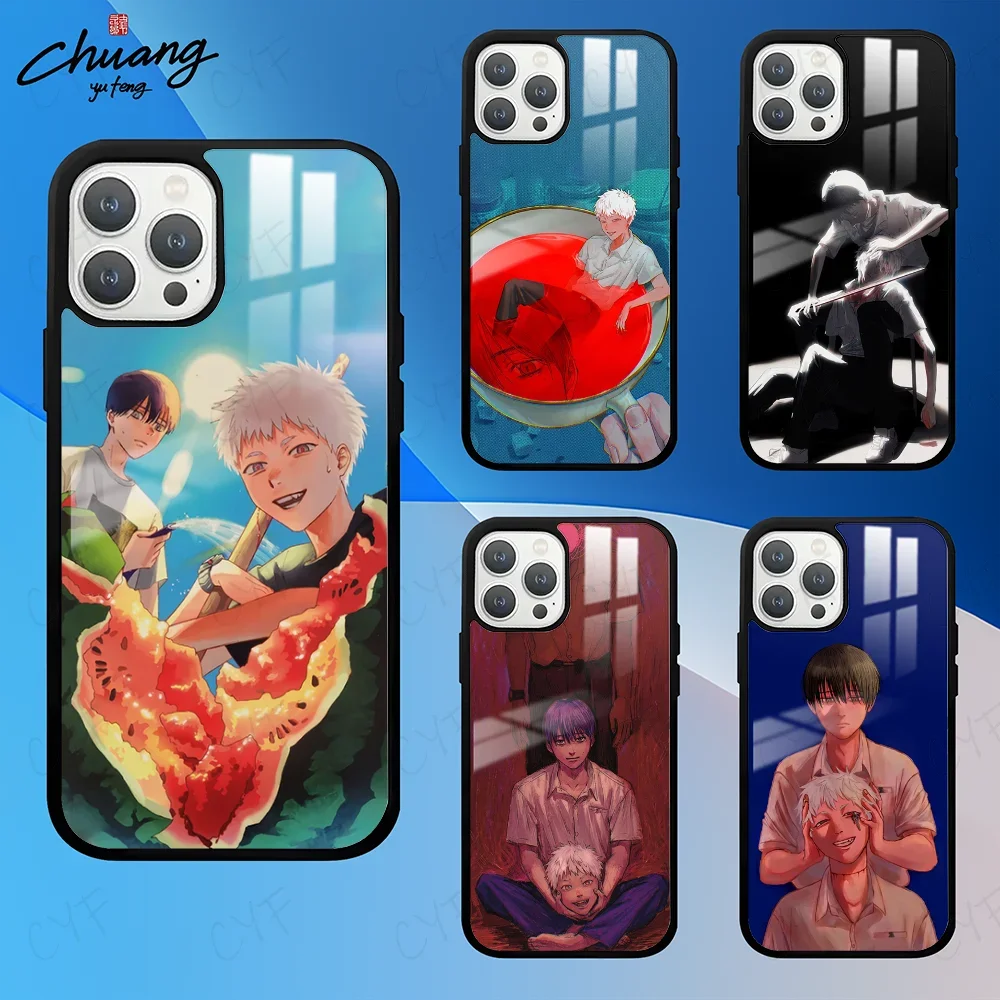 

The Summer Hikaru Died Phone Case For 11 12 13 14 15 16Pro Max mini Plus Frosted mirror Phone Cover