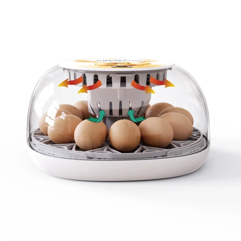 New Arrival Square Grid M12 Incubator With Transparent Body Chicken/duck/quail/reptile Egg Incubator For Home Use