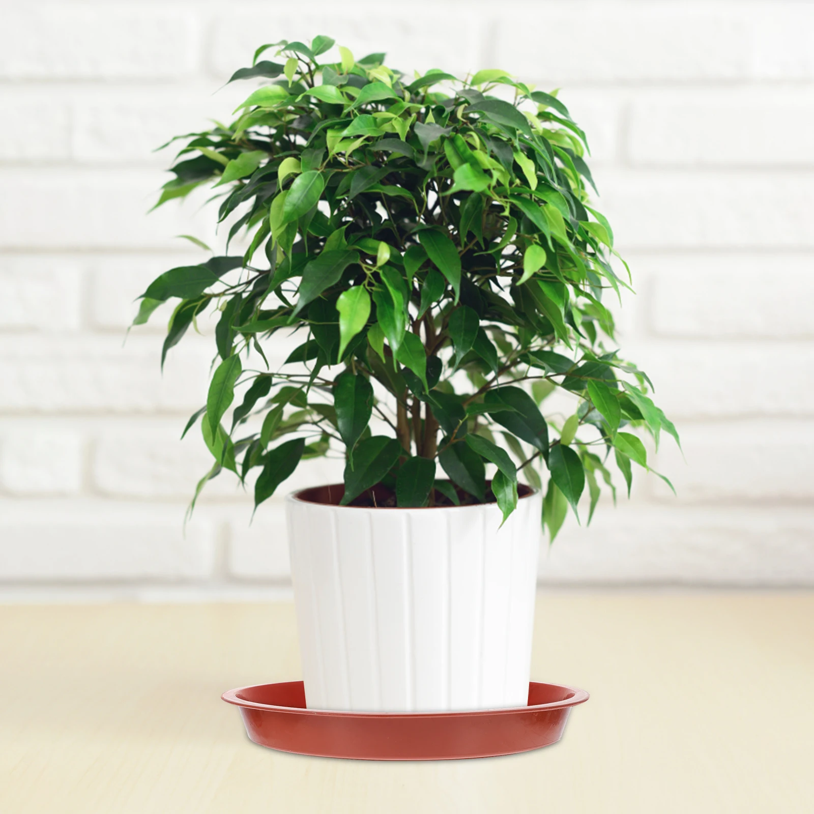 

Plastic Flowerpot Bases Durable Water Trays Gardening Plant Pots Plates Indoor Tray Mats Reusable Prevent Leakage