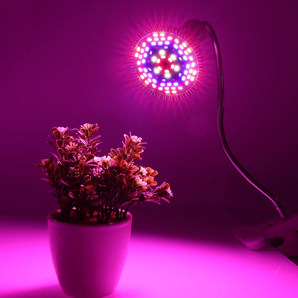 Imagem -06 - Full Spectrum Led Grow Light Phytolamp Quente Luzes da Planta Lâmpada para Flores Sementes Growbox Interior 50w 78 Leds