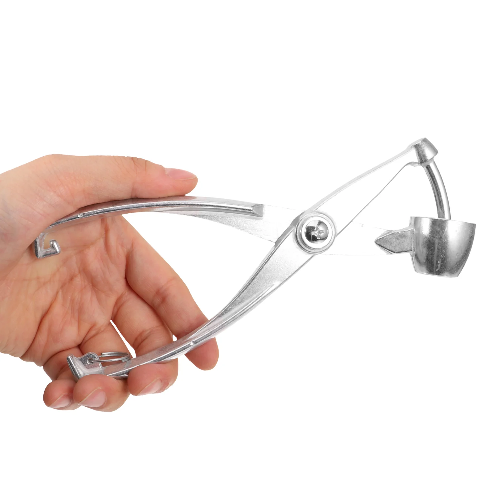 

Professional Cherry Pitter Wear-Resistant Olive Pitter Reusable Metal Red Date Corer Portable Lightweight Home Supply