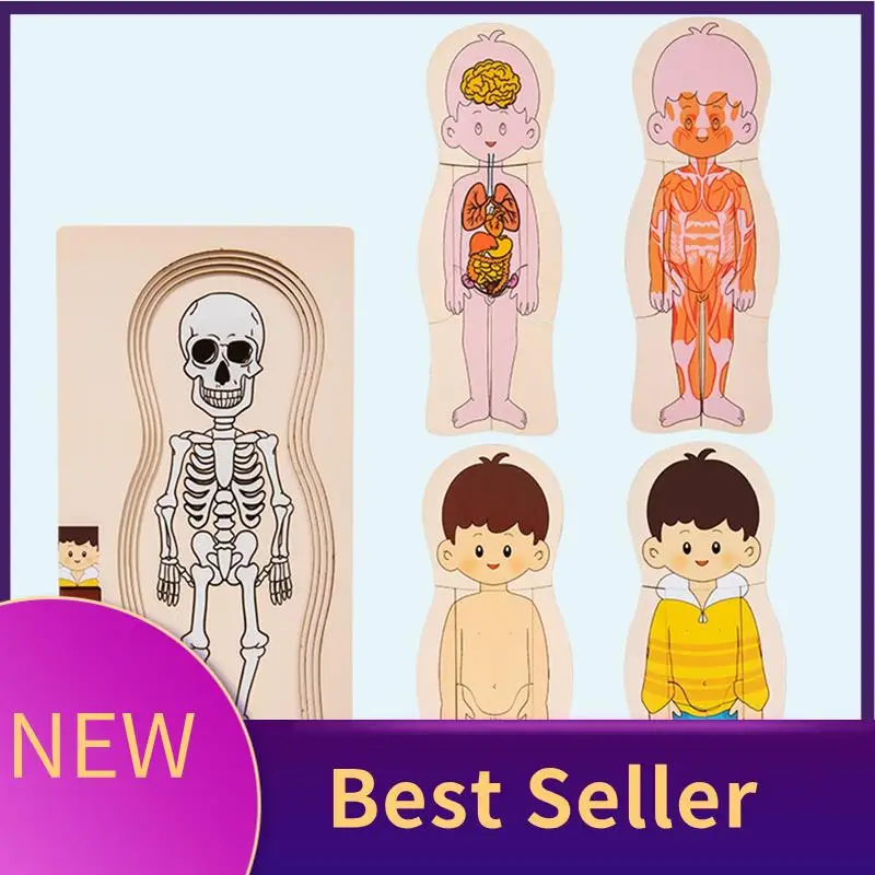 

B46C деревянная головоломка с структурой человеческого тела, детский многослойный самолет-головоломка, игрушки для дошкольного образования