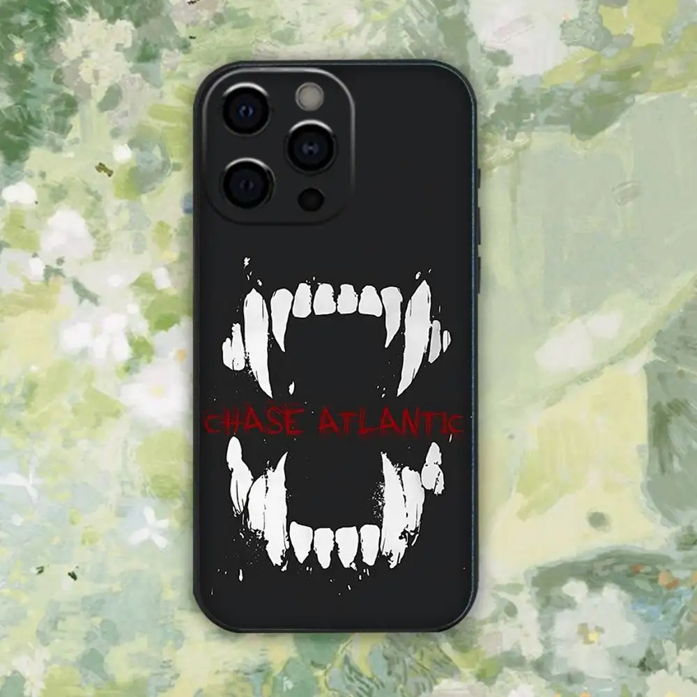 حافظة هاتف C-Chase Atlantic Music Group لهاتف iPhone 16e,16,15,14,13,12,11,Pro,X,XS,Max,XR,Plus,Mini Soft Black Cover