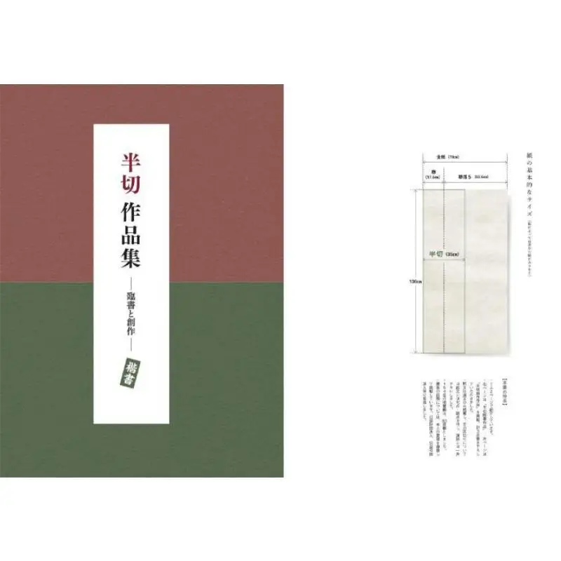 Hanshu Handbook 2 Rinsho And Creative Block Script Preservation Version Art Newspaper Art Newspaper 9784875866114 Book