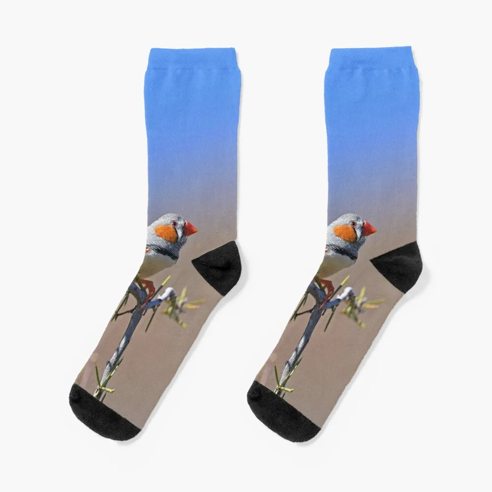 Zebra Finch Socks Antiskid soccer japanese fashion Women Socks Men's