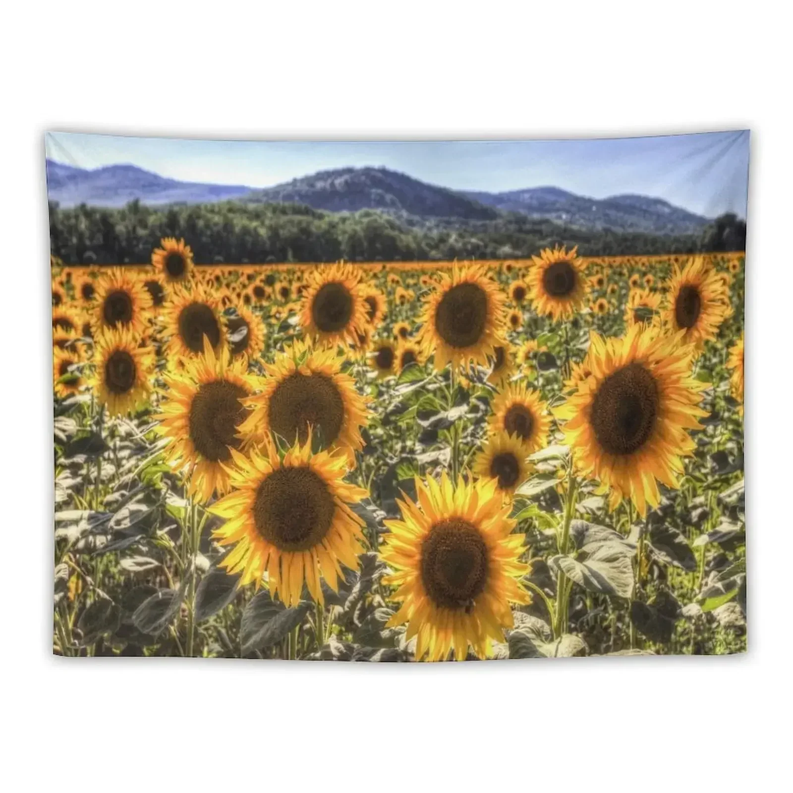 

Sunflower Fields Of Dreams Tapestry Cute Decor Wall Hangings Decoration Aesthetic Home Decor Tapestry