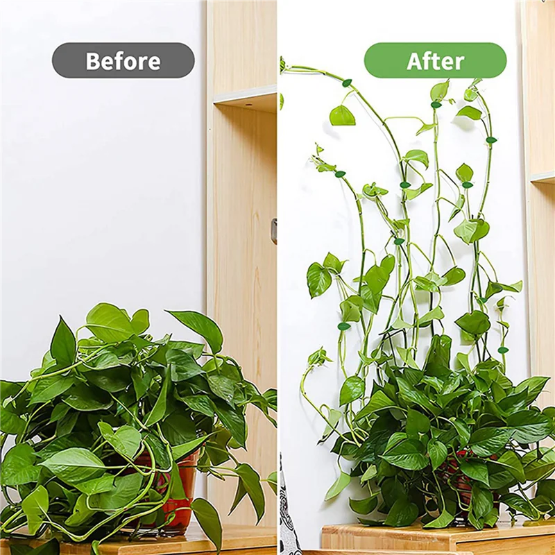 100 قطعة مقاطع نباتات الحديقة ، النباتات تسلق الجدار دعم المفاجئة تركيبات كليب ذاتية اللصق المثبت لزجة هوك-B51B #6