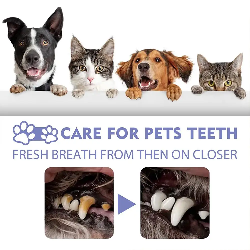 Pet Dental Spray Reduces Plaque & Tartar Buildup Dog Cleaning Bad Freshener Breath Teeth Mint Spray Oral 30ml Care Flavor