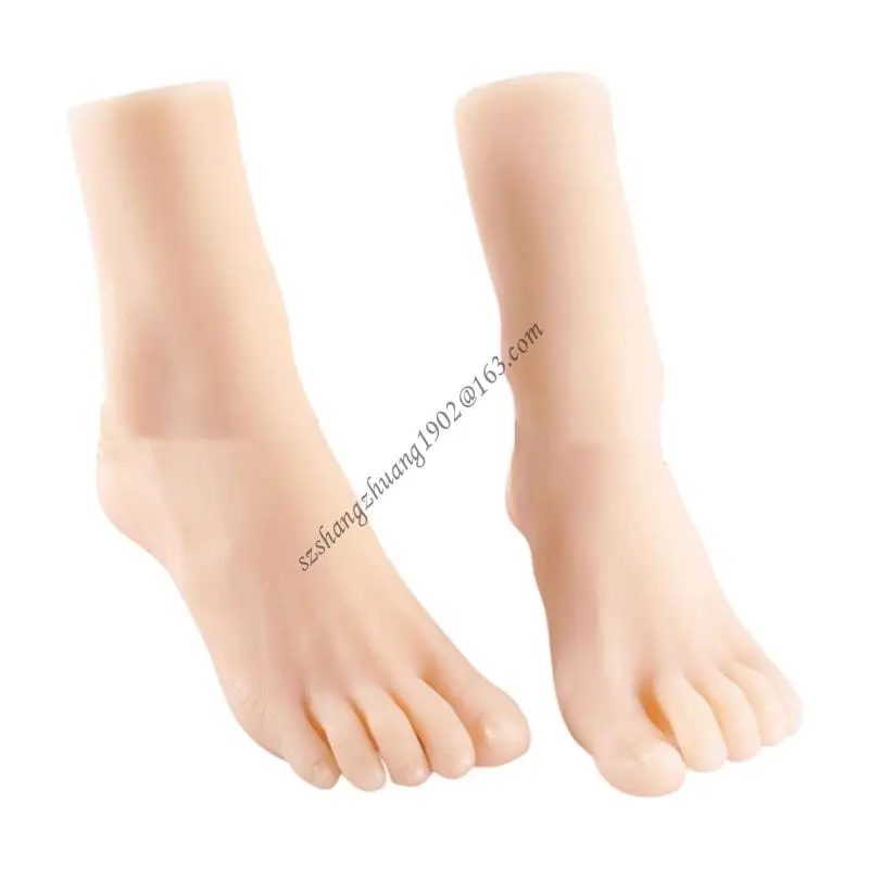 

Q6RB Anatomical Foot Replicas Size 36 Shoe Display Foot Model Perfect for Shoe