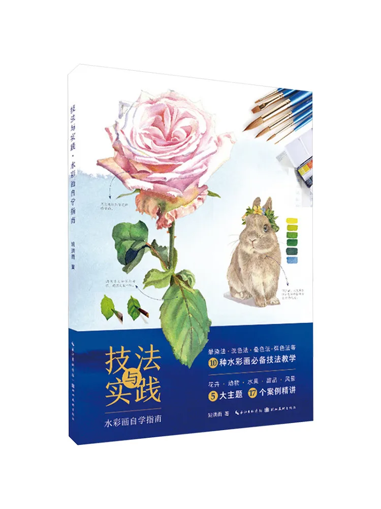 

Книга-Winshare Techniques и практика посібника по самообучению акварели