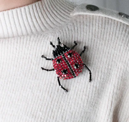 embroidery india silk pin on patches for clothing brooch red ladybug badge designer patches for jeans parches bordados para ropa