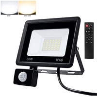  LED FloodLight PIR Motion Sensor Remote Control Waterproof Outdoor Wall Light Led Spotlight 100W 50W 30W 20W 10W for Garden
