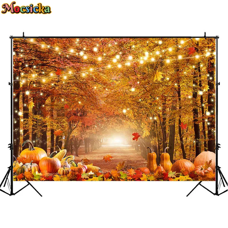 سقوط الغابات خلفيات للتصوير الفوتوغرافي الخريف المشهد الغابات اليقطين الحصاد حفلة أوراق القيقب الشكر خلفية التصوير الفوتوغرافي
