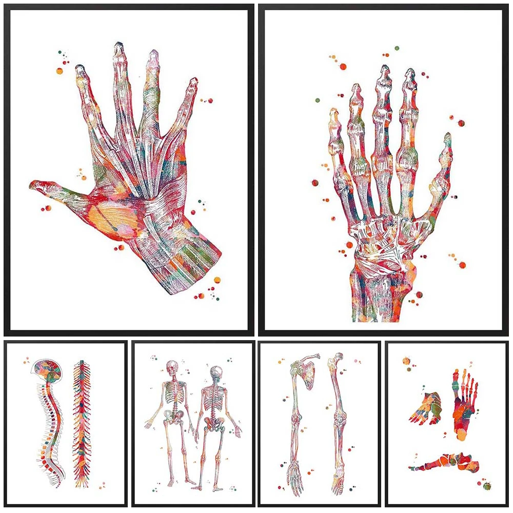 Orthopädie Spinal Neuromedizin Nordic Poster Wand Kunst Leinwand Malerei Wohnkultur Wand Bilder Für Wohnzimmer Ungerahmt