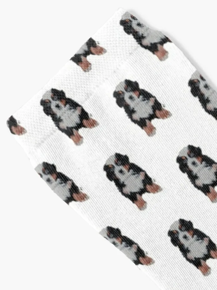 Chaussettes chien de montagne Burnese de mon ami, cadeaux pour hommes