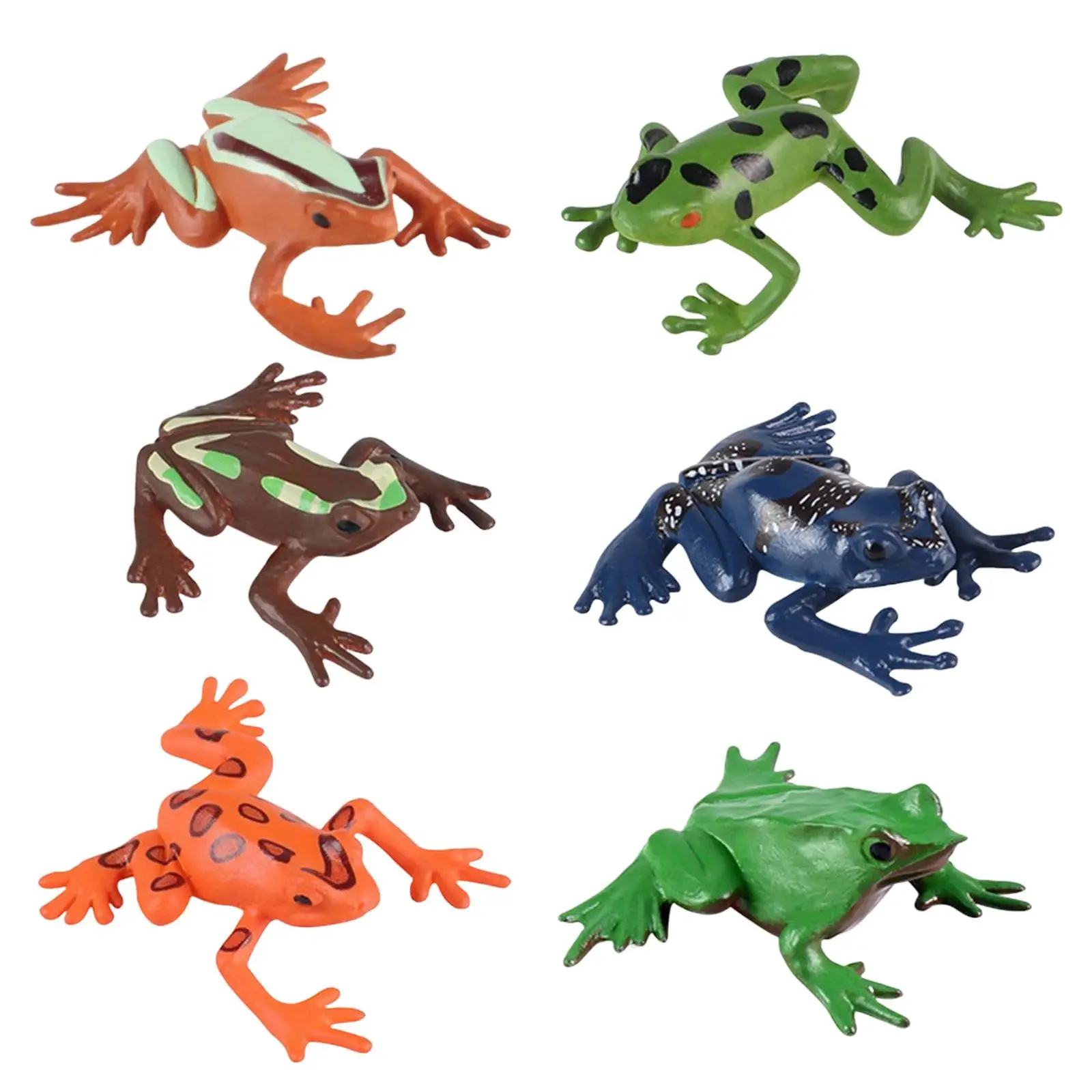 Simulation Animals Frog Wild Animals Frog Toy Lifelike Action Figures Model Jungle Frog Play Model Cycle Growth Model