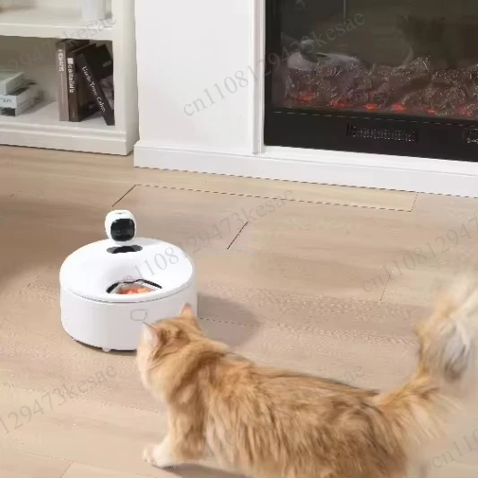 Wet Food Cat Feeder with Pack, Cordless Timer Pet Feeder, Food-Grade Tray for Wet and Dry Food