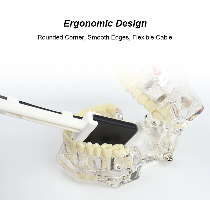 VV Dental Digitaler Röntgen-Bildgebungsdetektor RVG-Sensor mit Intraoralem Bildgebungssystem HD-Bild Radiovisiograph Tragbarer Röntgensensor – Detail 5
