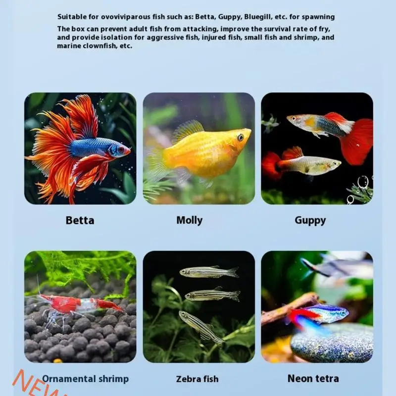 Multiple Species Fish Hatchery Box Mesh Structure Water Flows Design Breeder Box For Fry Shrimp Small Aquatic Creature