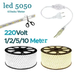 DC 220V LED Strip Lights Waterproof 60Leds/M High Brightness Flexible Kitchen Outdoor Garden Lamp Tape With Switch Power Plug