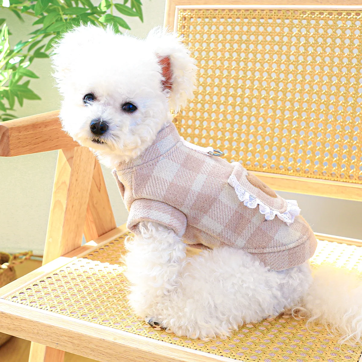 1PC Pet Apparel Cat Autumn and Winter Thickened Warm Couple Dress  Bear Pink Vest With Drawstring Buckle For Small Medium Dogs