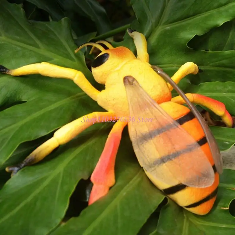 R6FD Realistic Insect Figures For Teaching Animal Anatomy Classroom Demonstration Toy