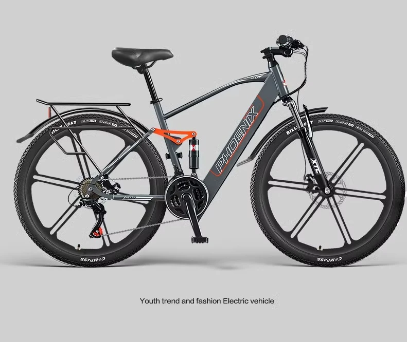 

Electric bicycle male and female adult walking battery car motorcycle