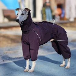 Abrigo impermeable para perros Greyhound y Whippet – Antimancha