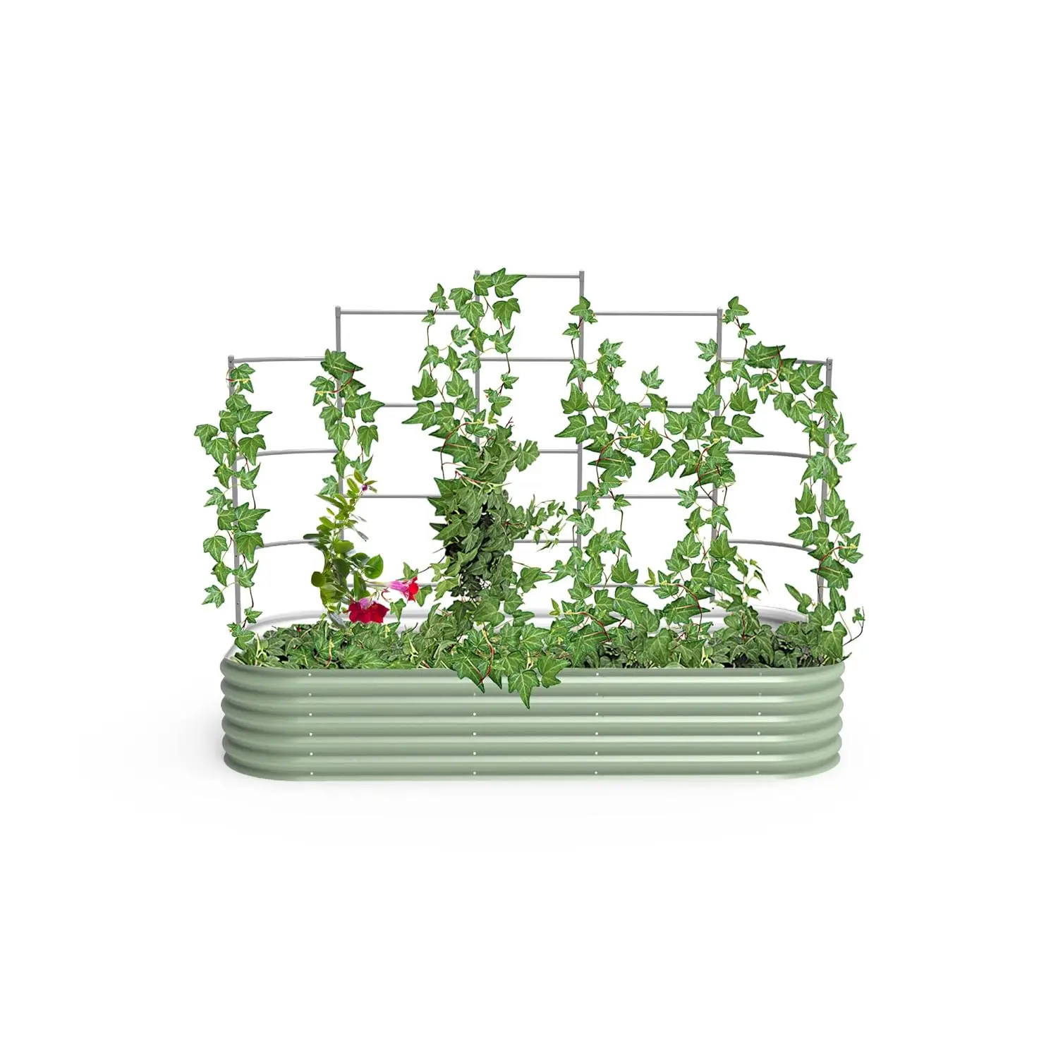 Five Section 8ft Modular Wall Trellis for 4x8ft Raised Garden Bed, Customized